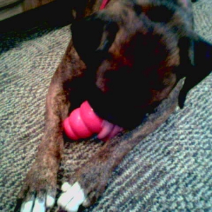 Look at that tongue!!!