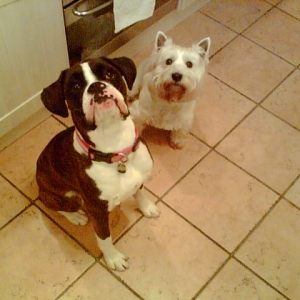 Milly and Holly