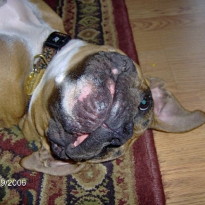 Upside down silly boy