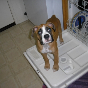 Ok mommy i want to help