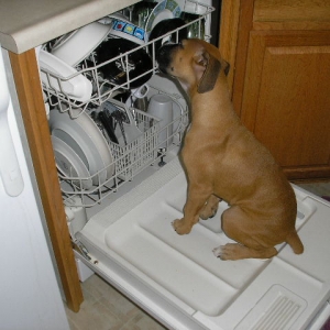 Hmm taste like chicken!!