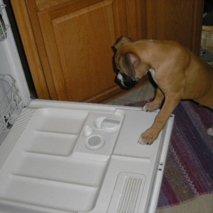What dishes arent done!! Mommy your grounded!!