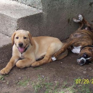 chloe and zeke porch