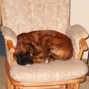 nap time