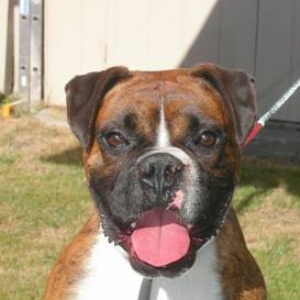 Rosco August 2005