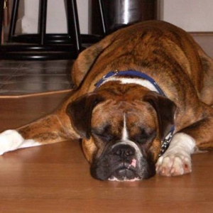 Pooped out