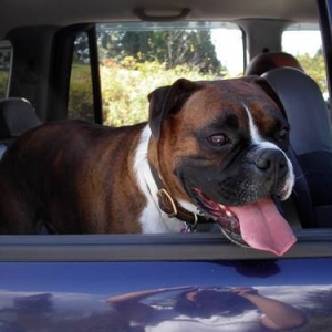 Are we there yet