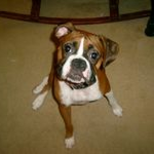 lucy lou