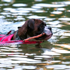 Swimtime