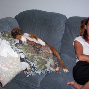 enzocouch