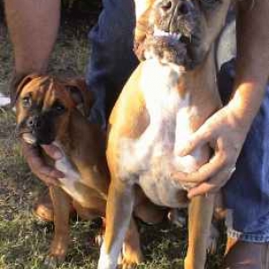 Beau & DaeZee