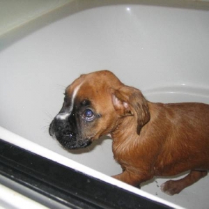First bath