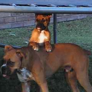 DaeZee loves her brother!