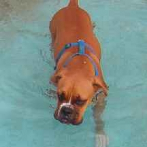 He IS a water dog!!!