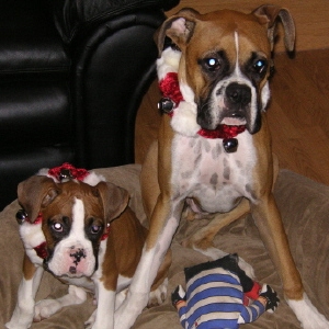 Biggie and Frankie