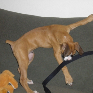 Picture_101