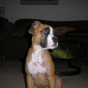 Picture_098