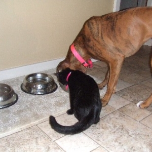 Sharing