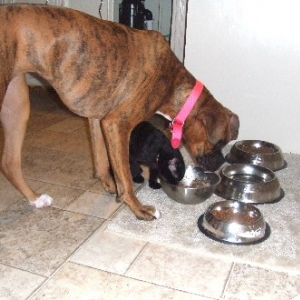 Kaybie & Onyx