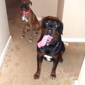 Kaybie & Rex