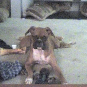 Darlin sittin pretty