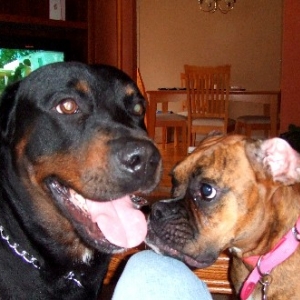 Staring Contest