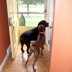 Let's go outside!