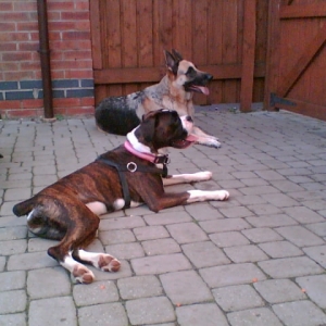 Milly and Tera...