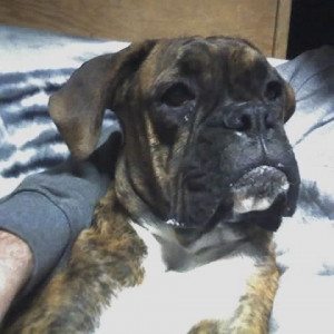 Just Chillin