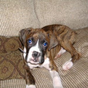 My Baby Max