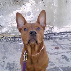 Roxy Girl!