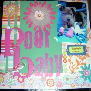 Scrapbook Page of Roxy!
