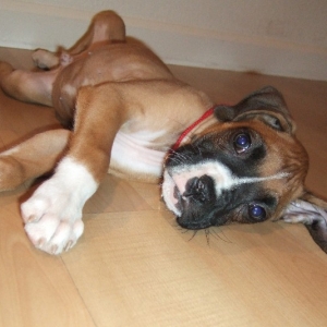 play with me