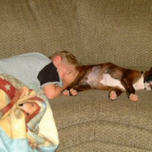 Boxer Pillow