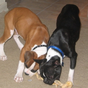 Baby Jagger and Nakai