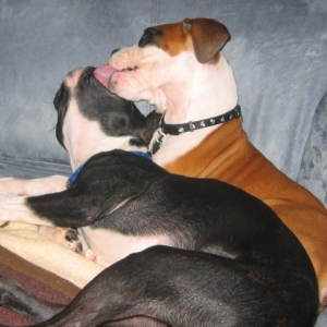 My Babies