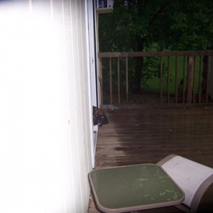 I'm watching you