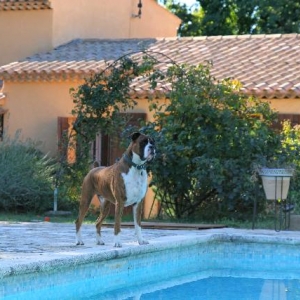 Lifeguard on duty