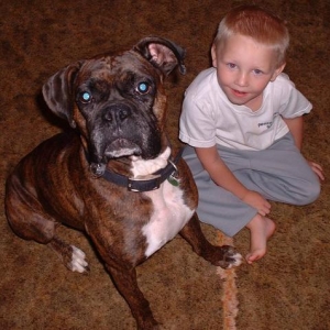 Daisey