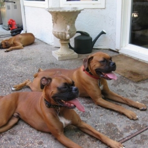 Brothers