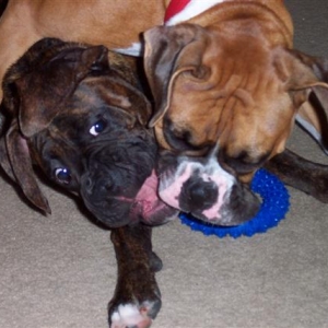 Samantha and Syd
