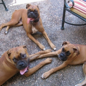 Play day