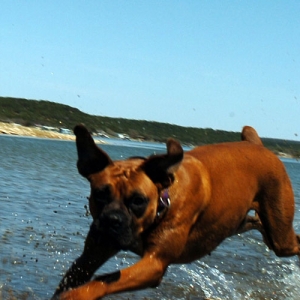 Crazy Water Fun