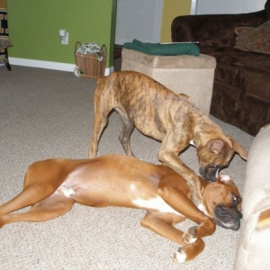 IM BIGGER!