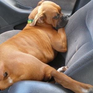 Why mom needs a bigger car!