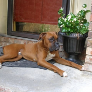 Isn't he so handsome!