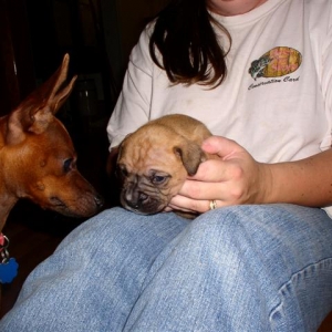 Pixie meets Georgie