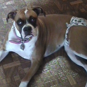 Abby's not too happy about this!