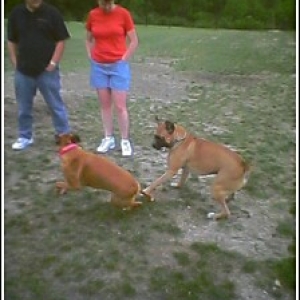 Action shot