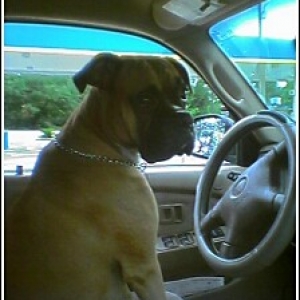 Not old enough to drive yet...
